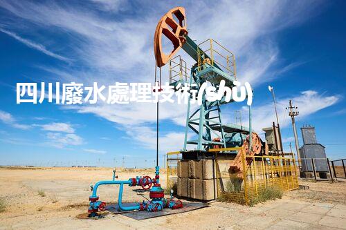 四川廢水處理技術(shù)革新：解決環(huán)境難題？
